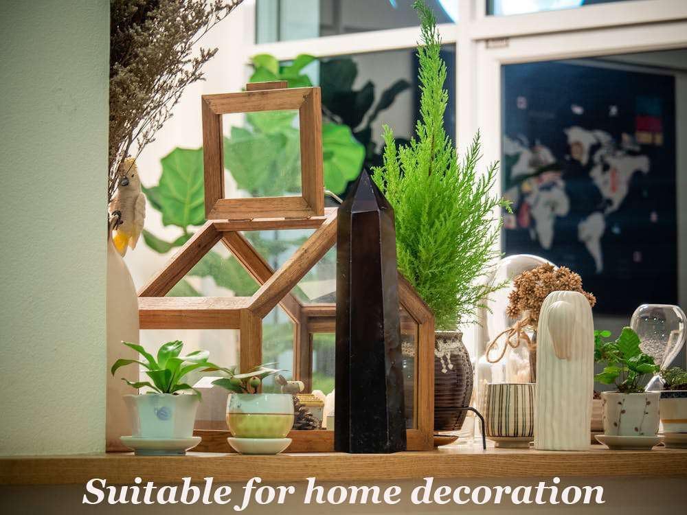 Clear Quartz Healing Crystals Raw