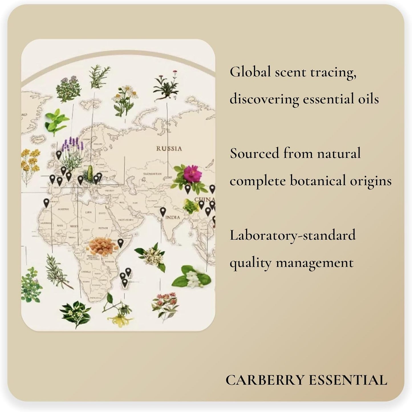 100% Pure Aromatherapy Oils Gift Set-12Pack, 10ML