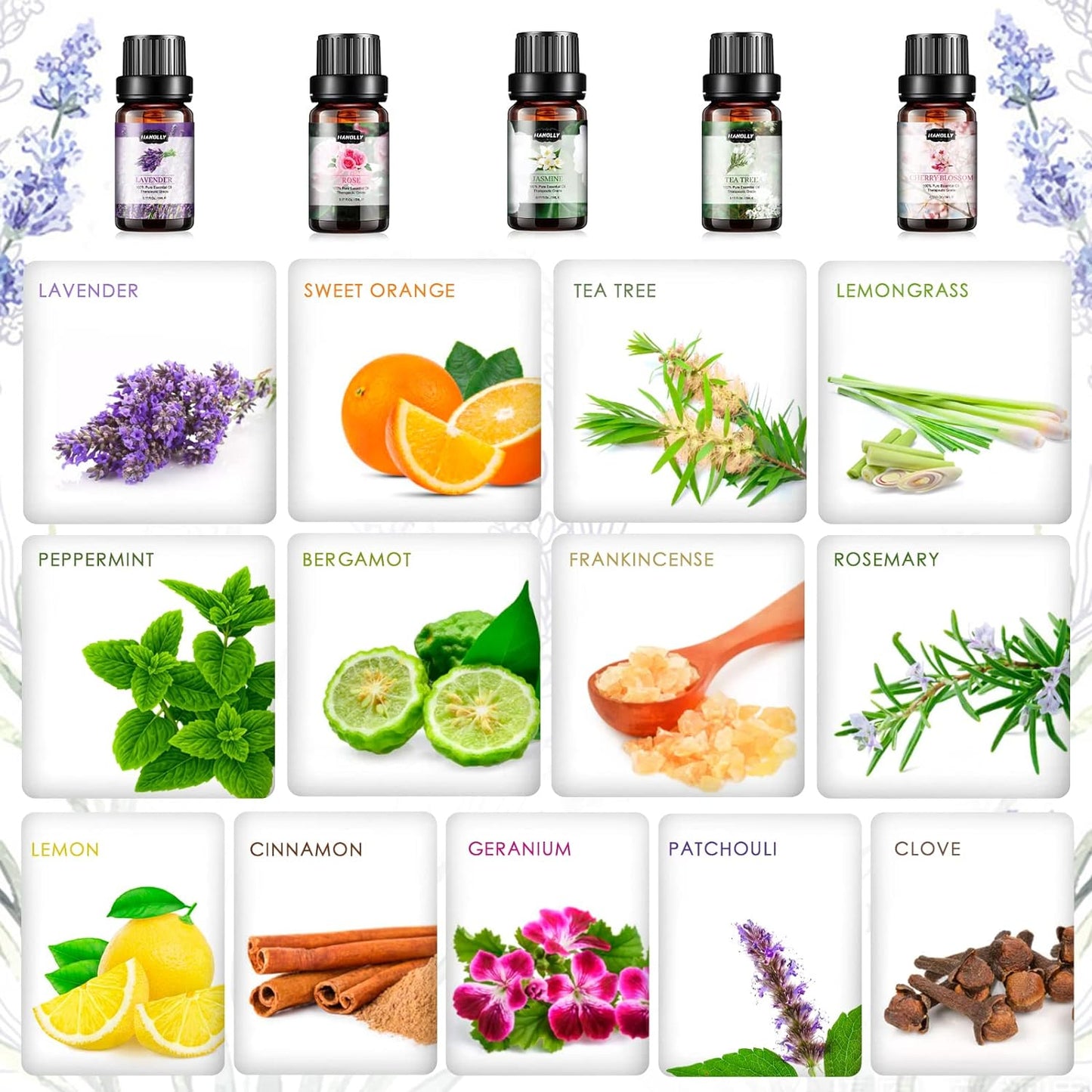 Aromatherapy Essential Oil Set: with 26 x 5ml Bottles