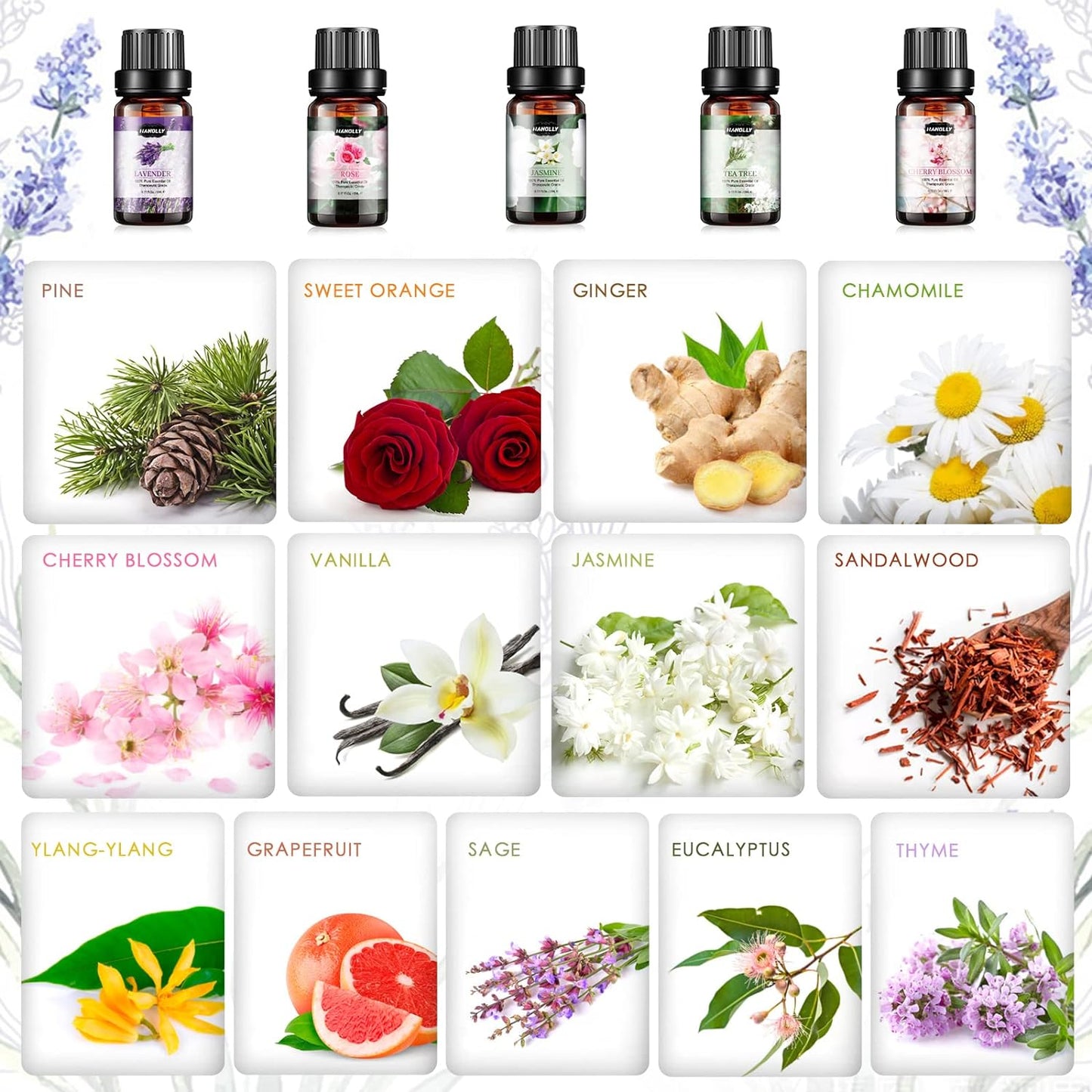 Aromatherapy Essential Oil Set: with 26 x 5ml Bottles